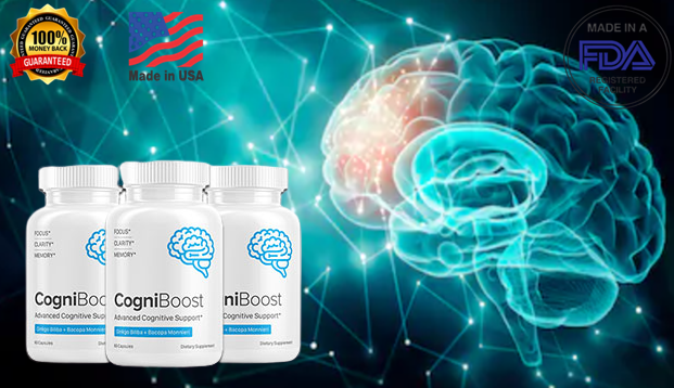 CogniBoost
