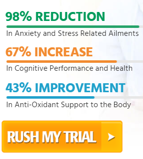 Prime-Rx-CBD-Oils Prime-Rx-CBD-Oils