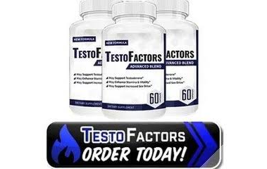 Testo Factors