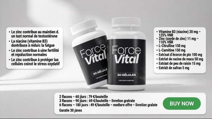 Force Vital Avis