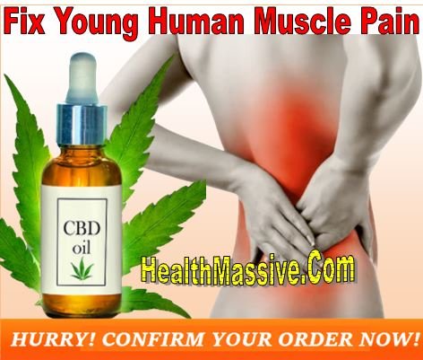 Greg Gutfeld CBD Tincture Oil